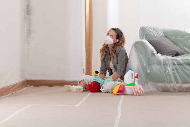 Reliable Mold Remediation contractor in Hurst, TX by Mold Remediation HQ